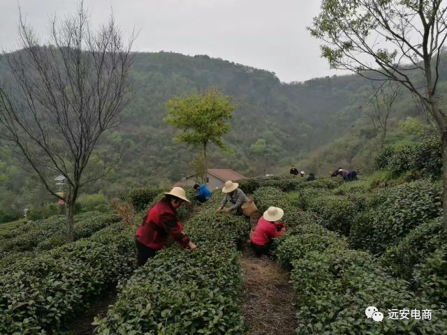 微信图片_20230115114039.jpg