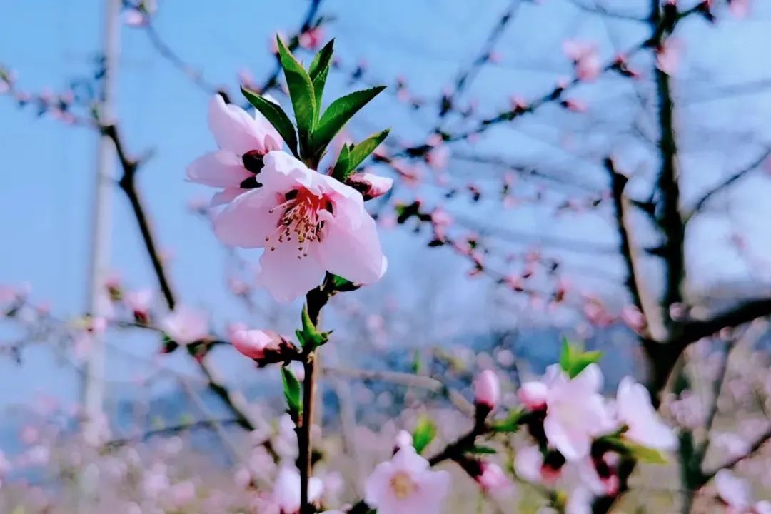 微信图片_20230115161639.jpg